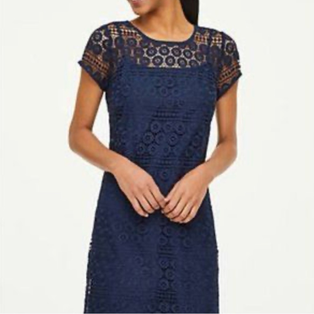 Loft Outlet Navy Crochet Lace Shift Mini Dress Size 8P